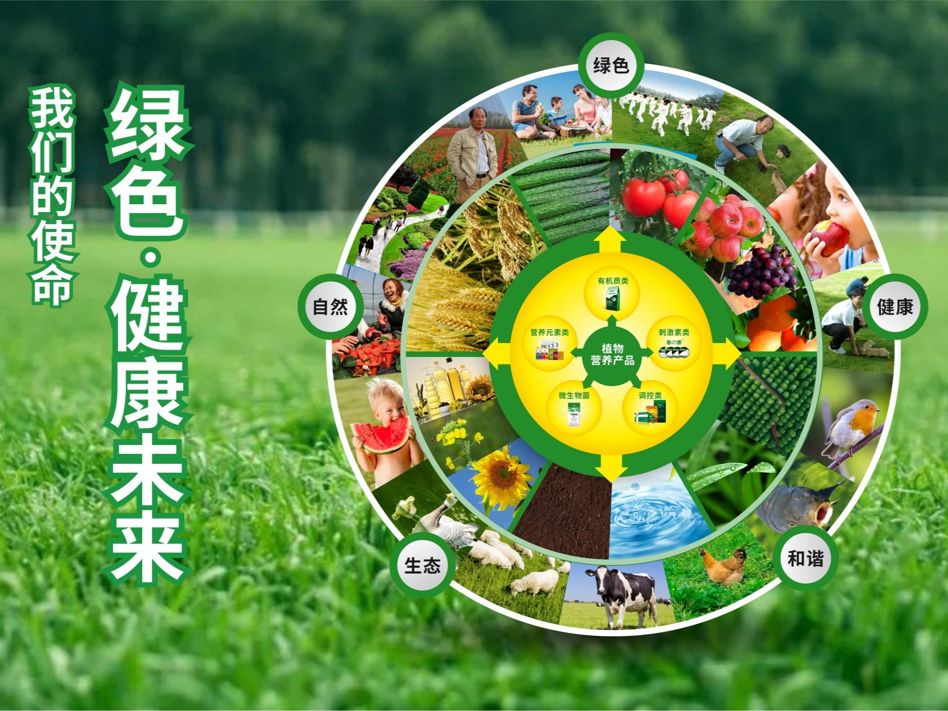【產(chǎn)品之道】走植物營(yíng)養精品之路