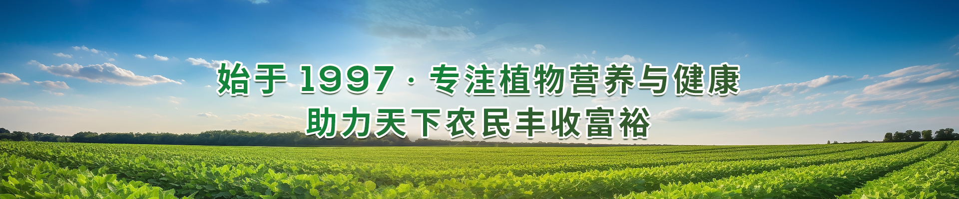 河南中威專(zhuān)注植物營(yíng)養